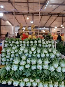 بازارچه میوه و تره بار بلوط 5