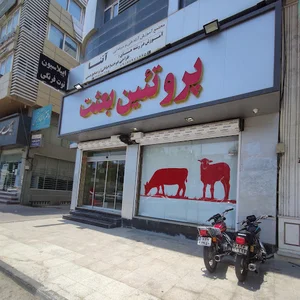 پروتئین بعثت