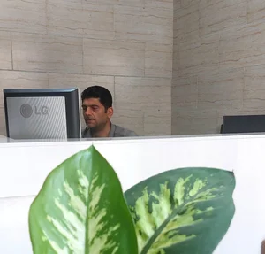 کافی نت علیرضا 3