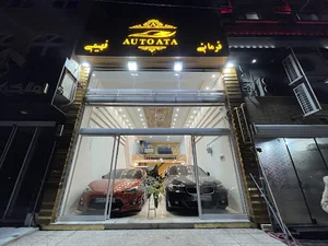Auto ATA