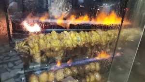 مستر پاچینی بابل