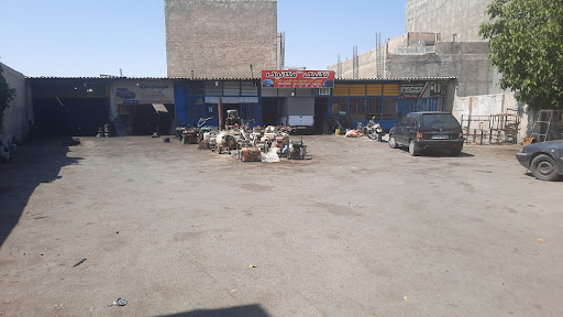 گاراژ علی ژیانی