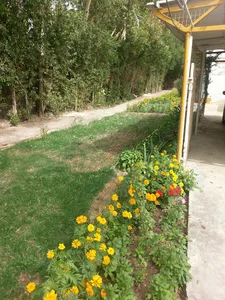 اداره باغبانی پالایشگاه