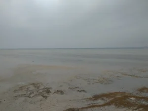 پتروگوهر