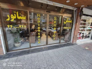 مسکن سناتور 5