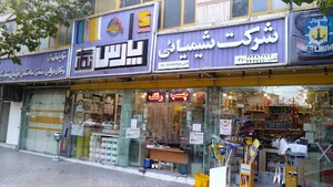 رنگ پارس نگار