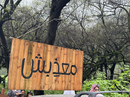 Halla Salalah Travel and Tours