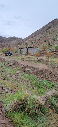 نهالستان مهدی کلهر