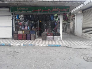 کتونی کاکتوس