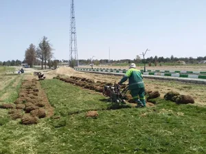 شرکت بهشت آیین ملل سبز