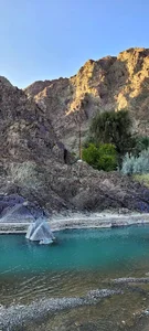 کاجو کور