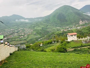 تولیدی پوشاک صاحب الزمان