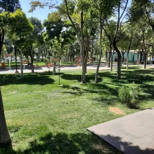 بوستان آزادی 5