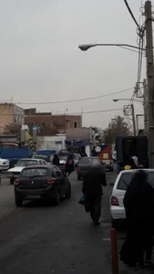 گوشت و مرغ زربال