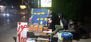 جایگاه چیتوز موتوری