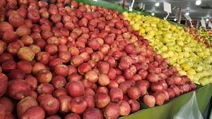 تعاونی شماره یک ناجا