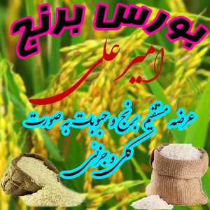 بورس برنج و حبوبات امیرعلی