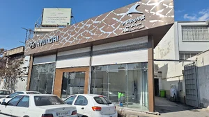 Kerman motor 1709