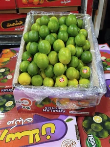 بارفروشی علیرضا مغانلو