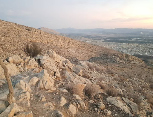 نیو کمپ قیر