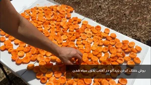 خشکه پزی خورشید