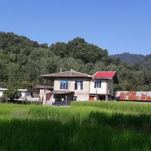 اقامتگاه بیجار(ویلای جنگلی)