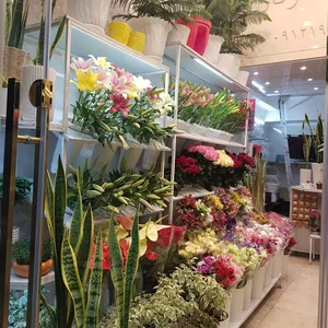 گلستان آراد