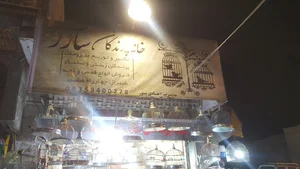 خانه پرندگان سارر