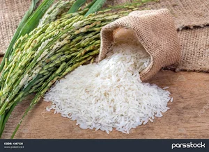 ایرایس