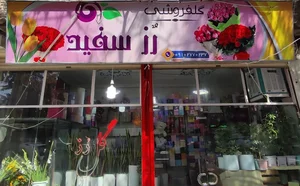 گلفروشی رز سفید