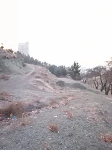 بام کوهستان سعادت آباد