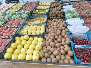 سرزمین میوه 5