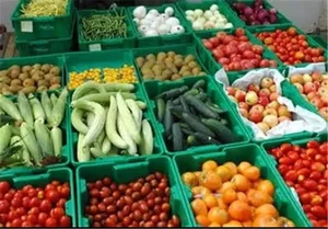 مزرعه بهمن دهقانی