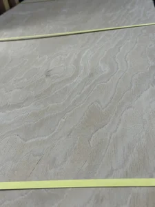 گروه چوب جوان
