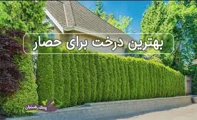 باغات حقیقت جو