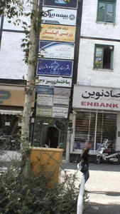 حیات برتر