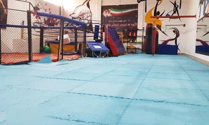 باشگاه ورزشی دایمون