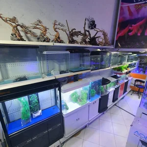 اکواریوم جزیره 5