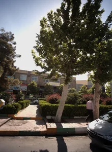 صحافی اشکان