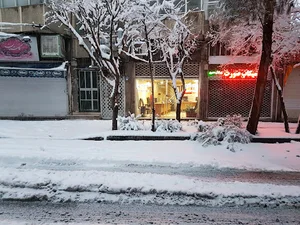 مشاور املاک قاسمی