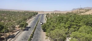 پارک جنگلی سید مرتضی 4