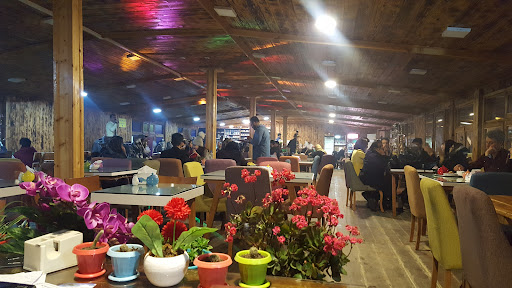 کافی شاپ سارینا