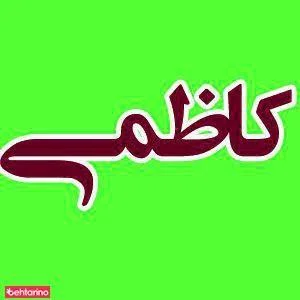 فروشگاه خانگی کاظمی 2