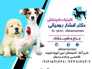 کلینیک دامپزشکی دکتر افشار رومیانی در خرم آباد