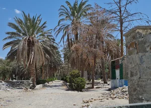 پارک بانوان