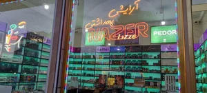 آرایشی ناظر