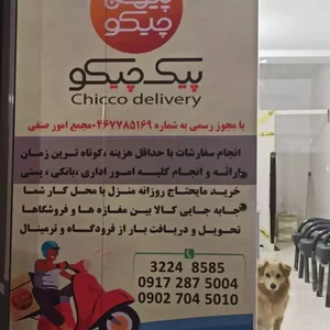 پیک موتوری چیکو 2