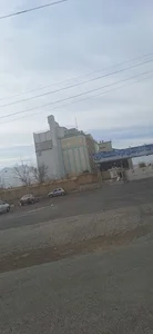 شرکت تولیدی آرد سینا