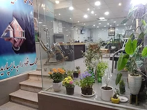 املاک مادر