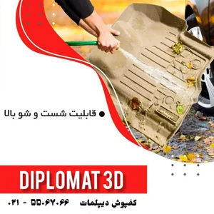 کف پایی سه بعدی دیپلمات